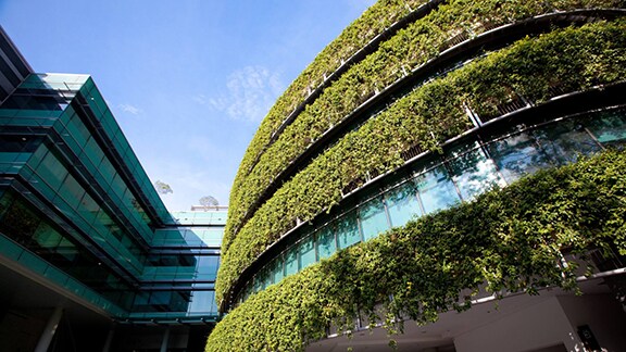 Upwards view of a glass building with plants on the balcony